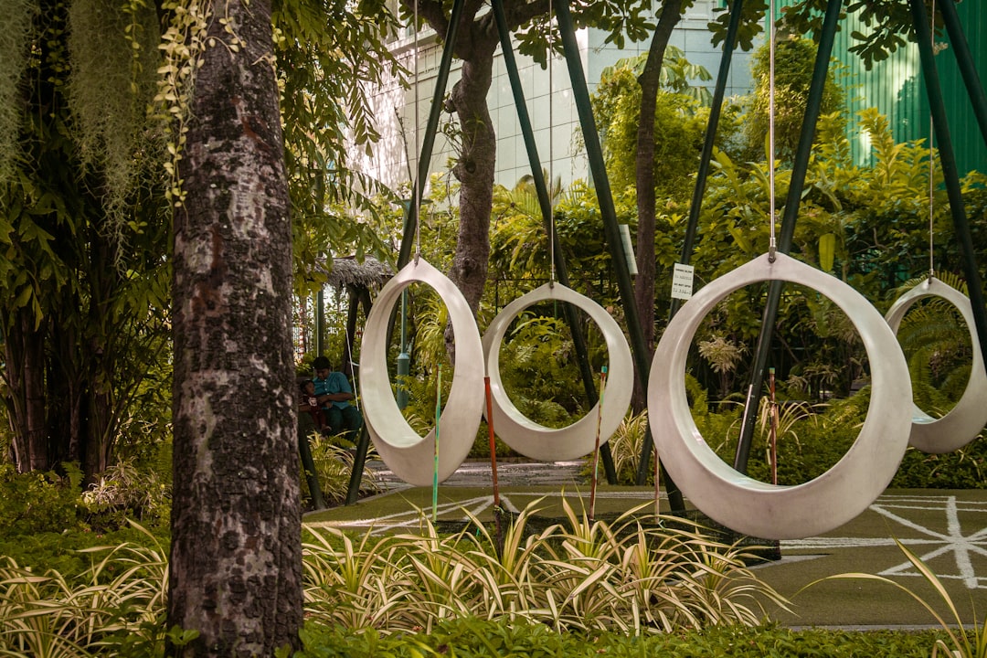 Photo Park, nature
